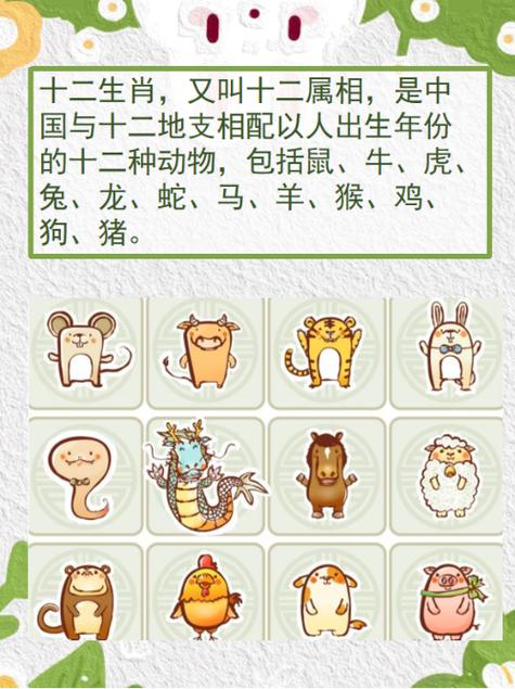 今期生肖七字头是指什么生肖动物-今期生肖七字头是指什么生肖动物呢