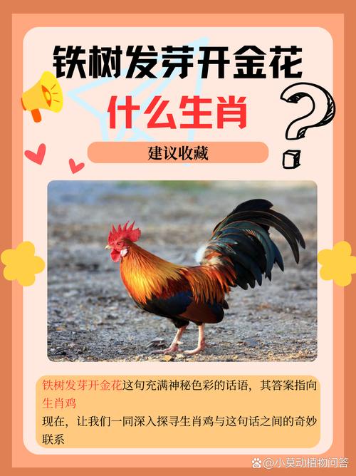 开金花是什么生肖动物-开金花是什么生肖动物图片