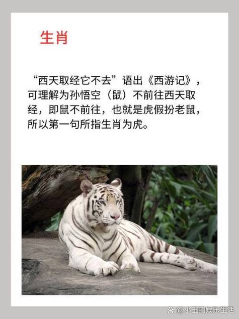 全身是宝动物打一生肖-浑身是宝的动物是什么动物