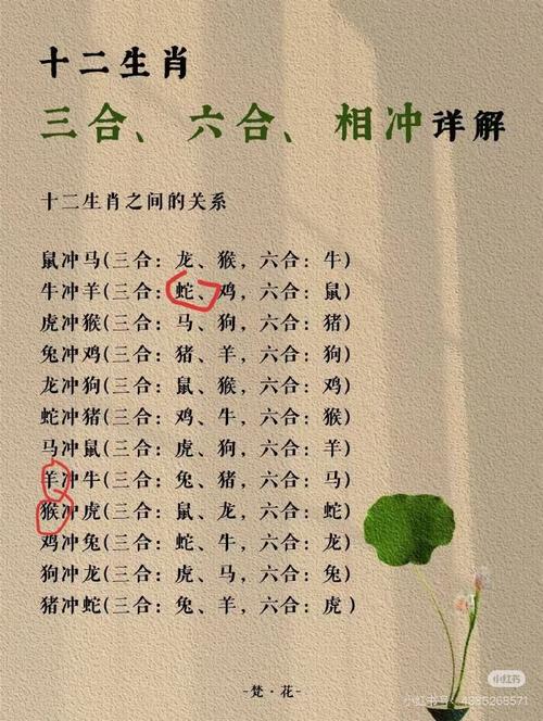 今期最冷门的生肖是什么生肖-今期最冷门的生肖是什么生肖呢