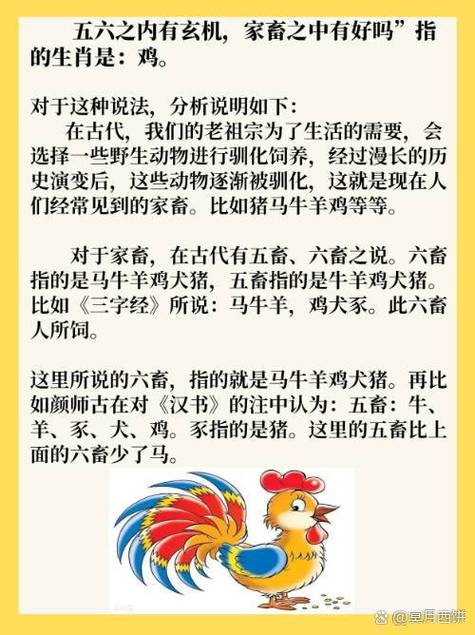 期数有玄机打一最佳动物的简单介绍