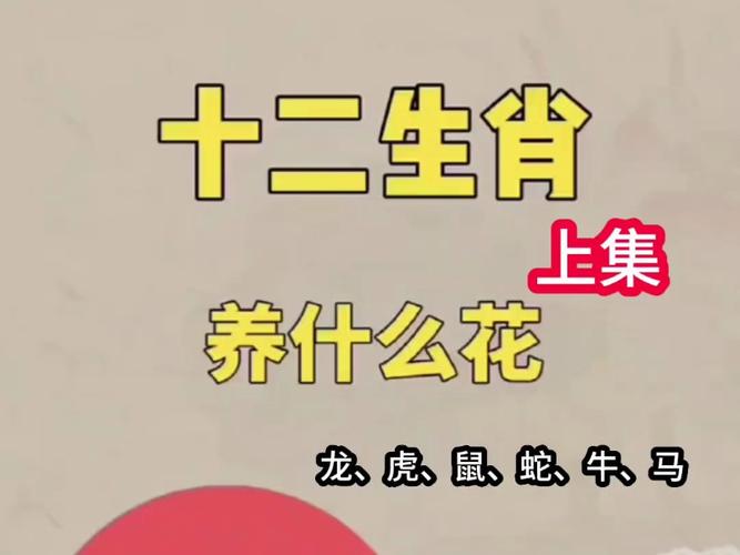 今期生肖带红花是什么意思-今期生肖是红花,生肖还需自己查是什么生肖