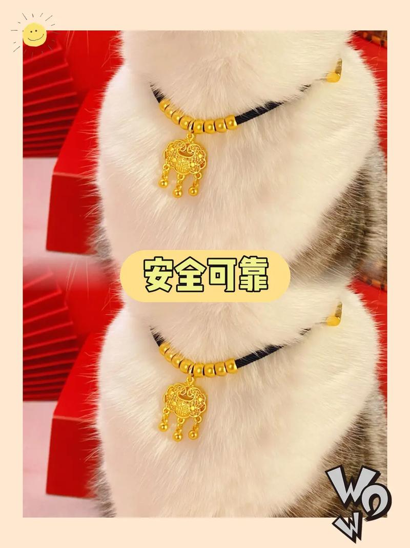 脖子戴项圈是什么生肖-脖子戴项圈是什么生肖图片
