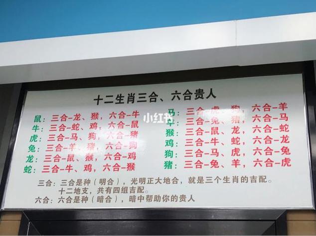 今期生肖回山上是什么生肖?-今期生肖回山上是什么生肖猴后马来龙柤伴是什么生肖