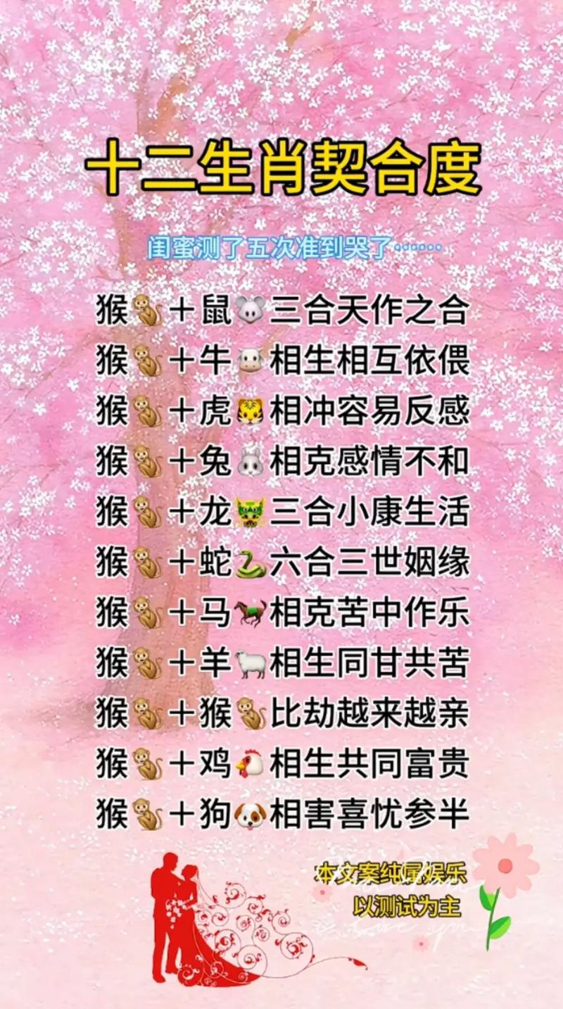 表里如一打一生肖最佳答案-表里如一是什么意思打一生肖