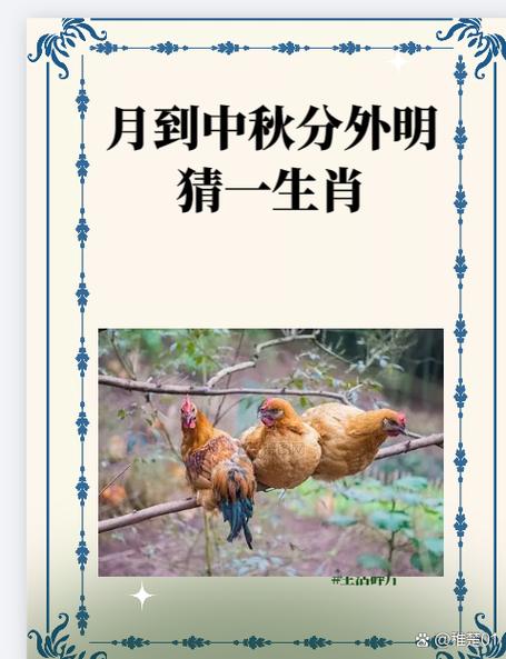 今期生肖找桃花准确答案-今期生肖找桃花取定金命必有土打一生肖