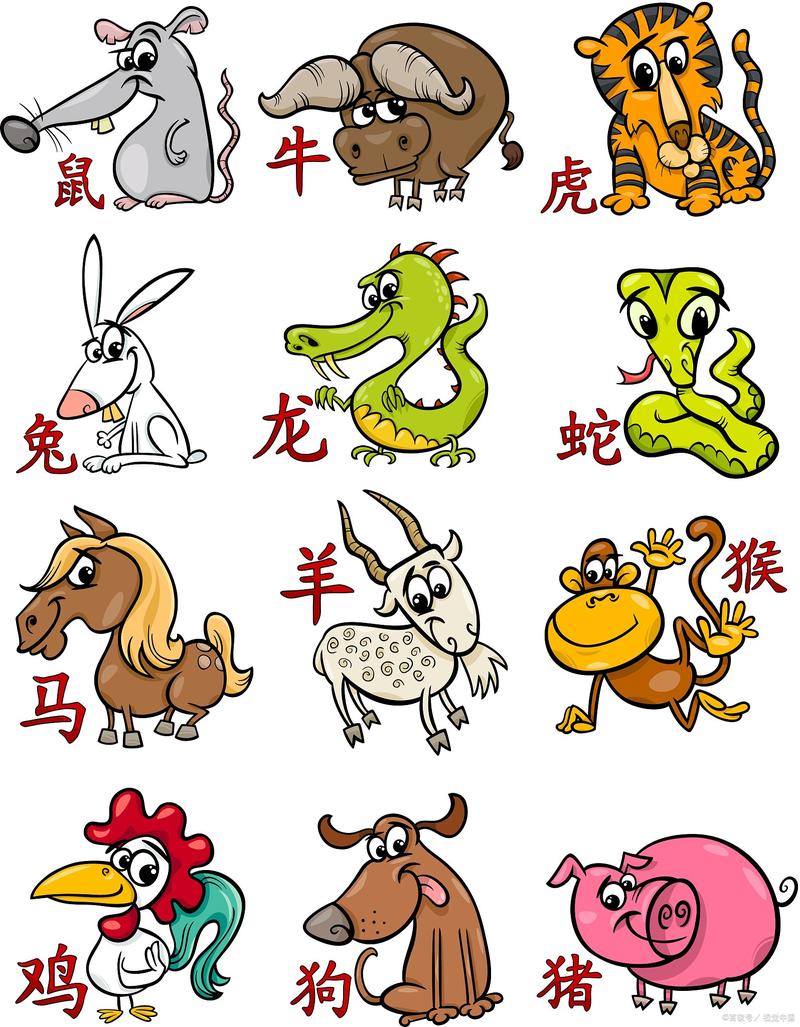 开金花指的是什么生肖-开金花指的是什么生肖?