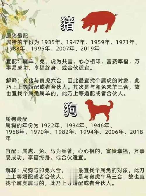 包含“欢喜冤家前后同”是什么生肖动物的词条