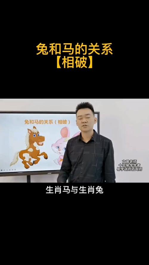 什么生肖旺鼠和兔-什么生肖旺鼠和兔的财运