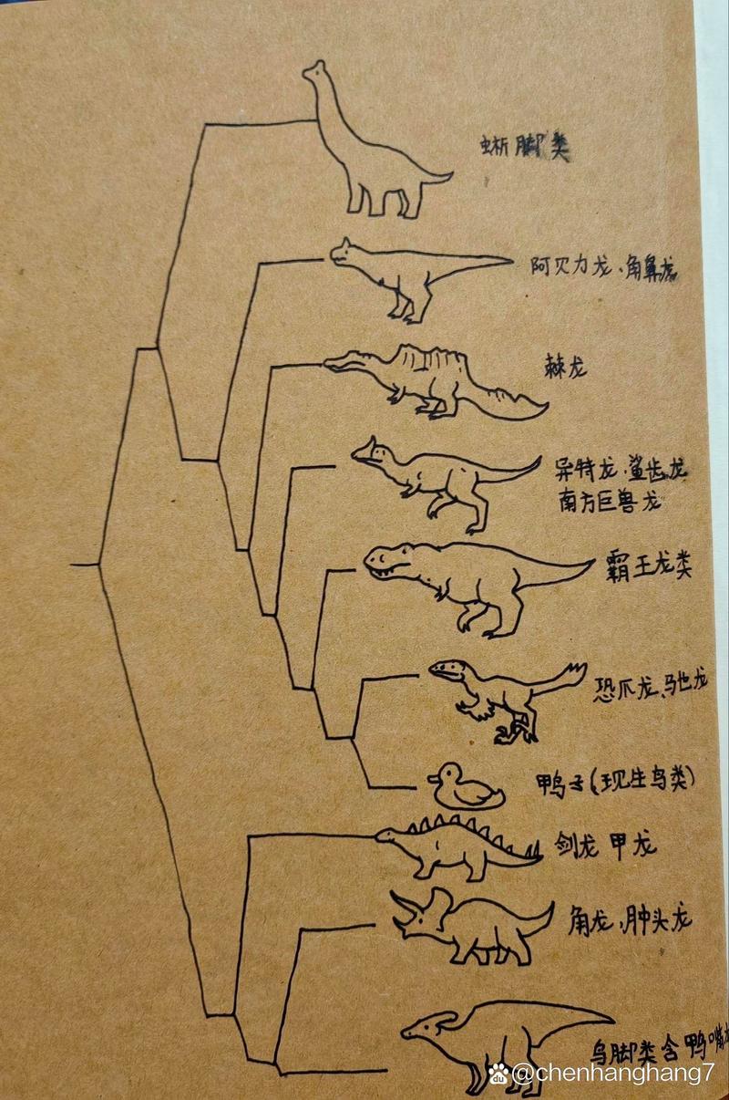 “中国特色的肉鸡发展之路”指什么生肖的简单介绍