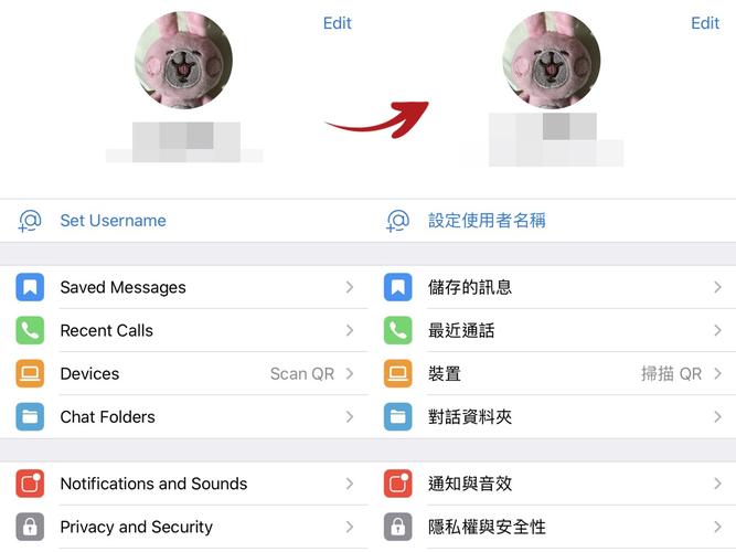telegreat中文版免费-telegreatx中文版安装包