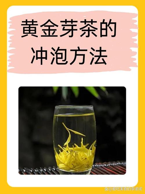 黄金芽-黄金芽冲泡方法