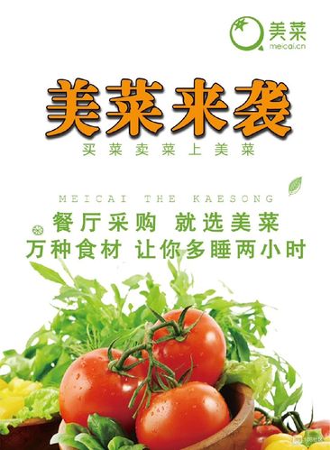 美菜集团的几个创始人-美菜集团的几个创始人名单