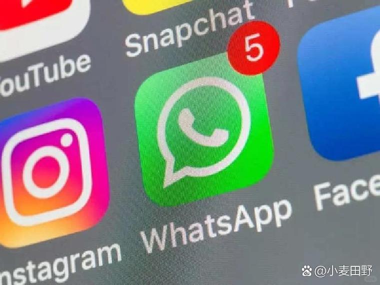 Whatsapp官方下载苹果-Whatsapp官方下载苹果下载参数图片