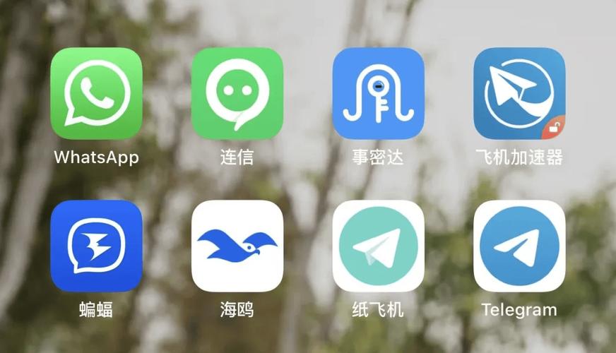 wsap是什么聊天软件-聊天软件whatsapp