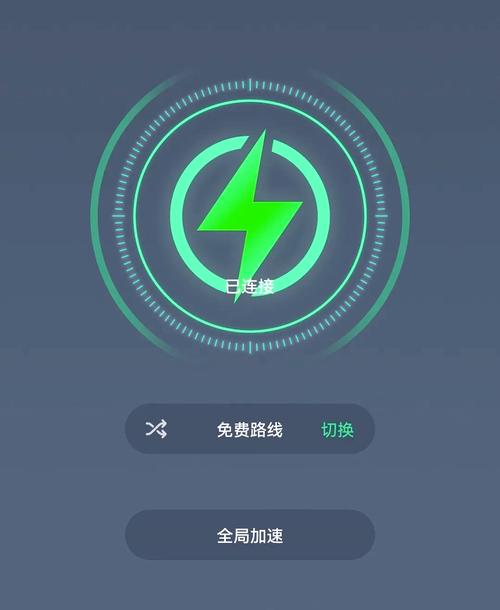 加速器2024免费版-加速器2024免费版下载
