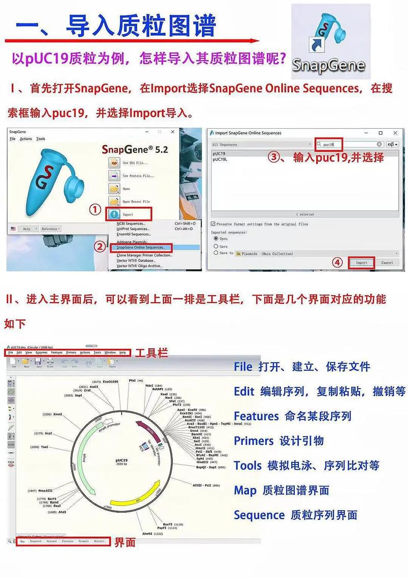 包含snapchat怎么读音发音的词条