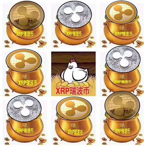 瑞波币钱包下载-瑞波币钱包下载安装教材