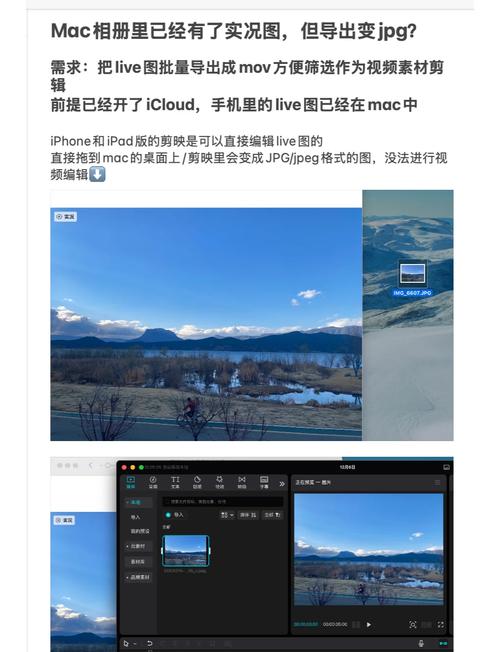 视频下载到相册教程-视频下载到相册教程怎么弄