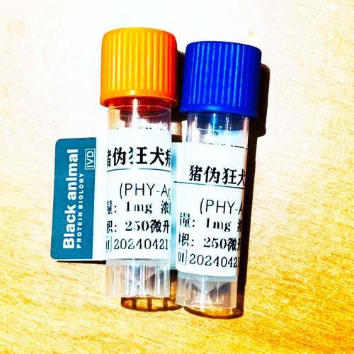 猪的ped是什么意思-猪检测ped阳性什么意思