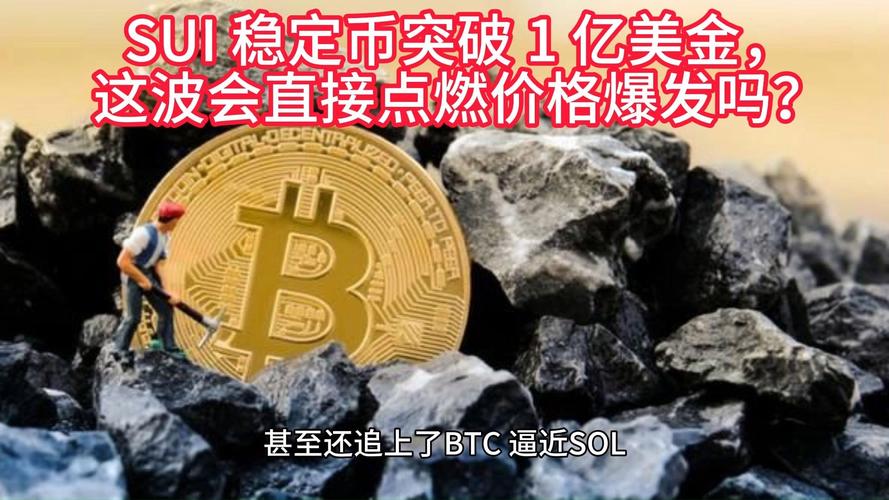 sui币值得投资吗-sun币有投资价值吗
