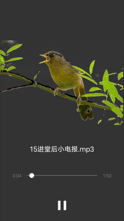 电报声音-电报声音铃声
