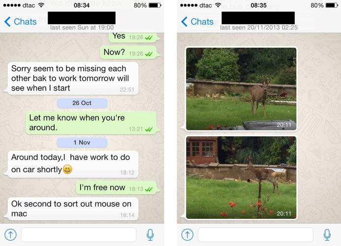 whatsapp要用外网-whatsapp国内网能用吗