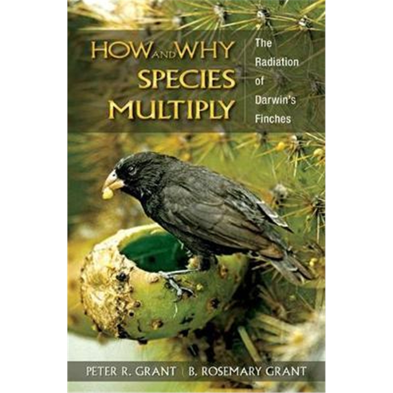 [species]species英语