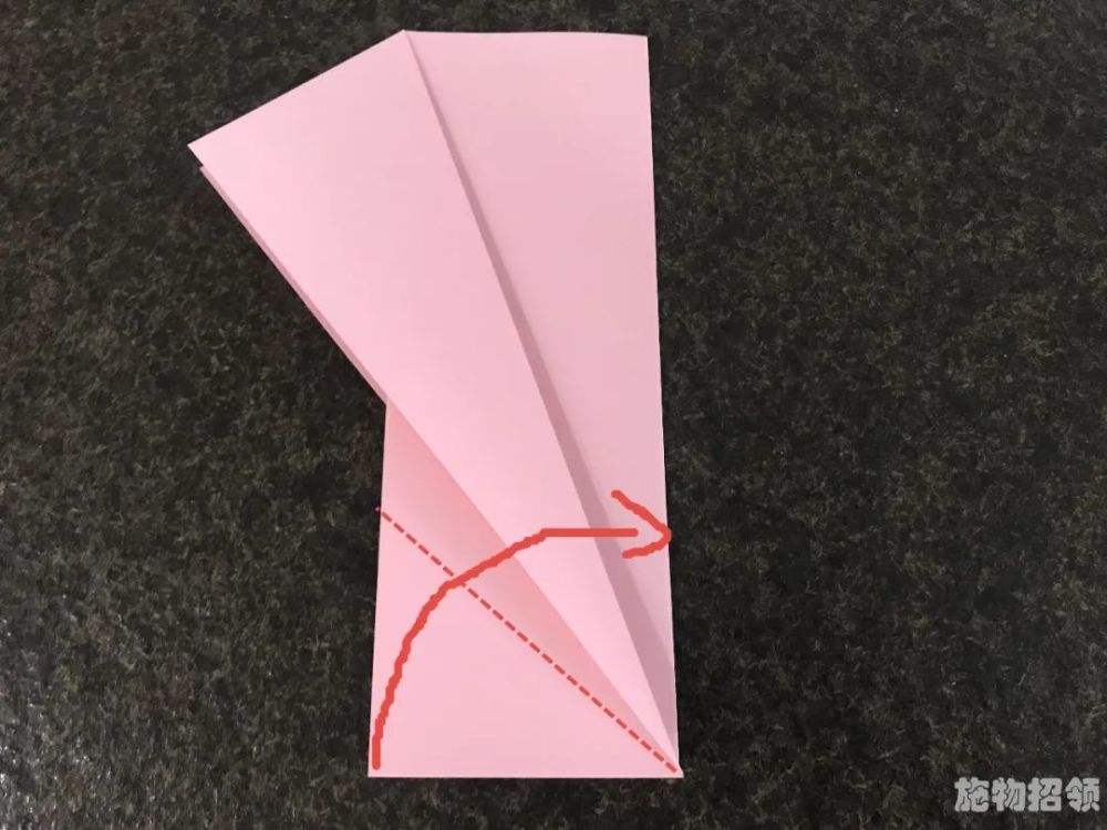 [纸飞机群组链接]纸飞机群链接大全