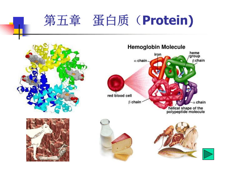 [protein]proteintech抗体官网