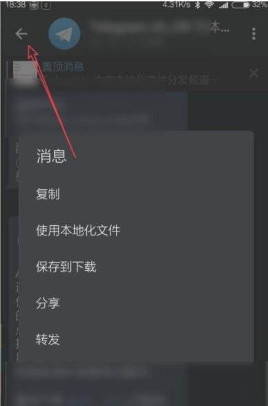 [telegrea中文版]telegrea中文版下载