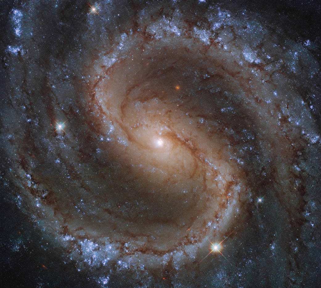 [astronomer'swife分析]astronomer's wife人物分析