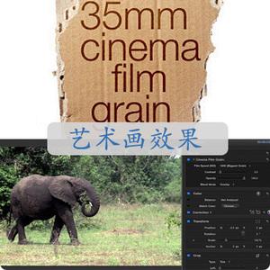[filmgrain]film grain