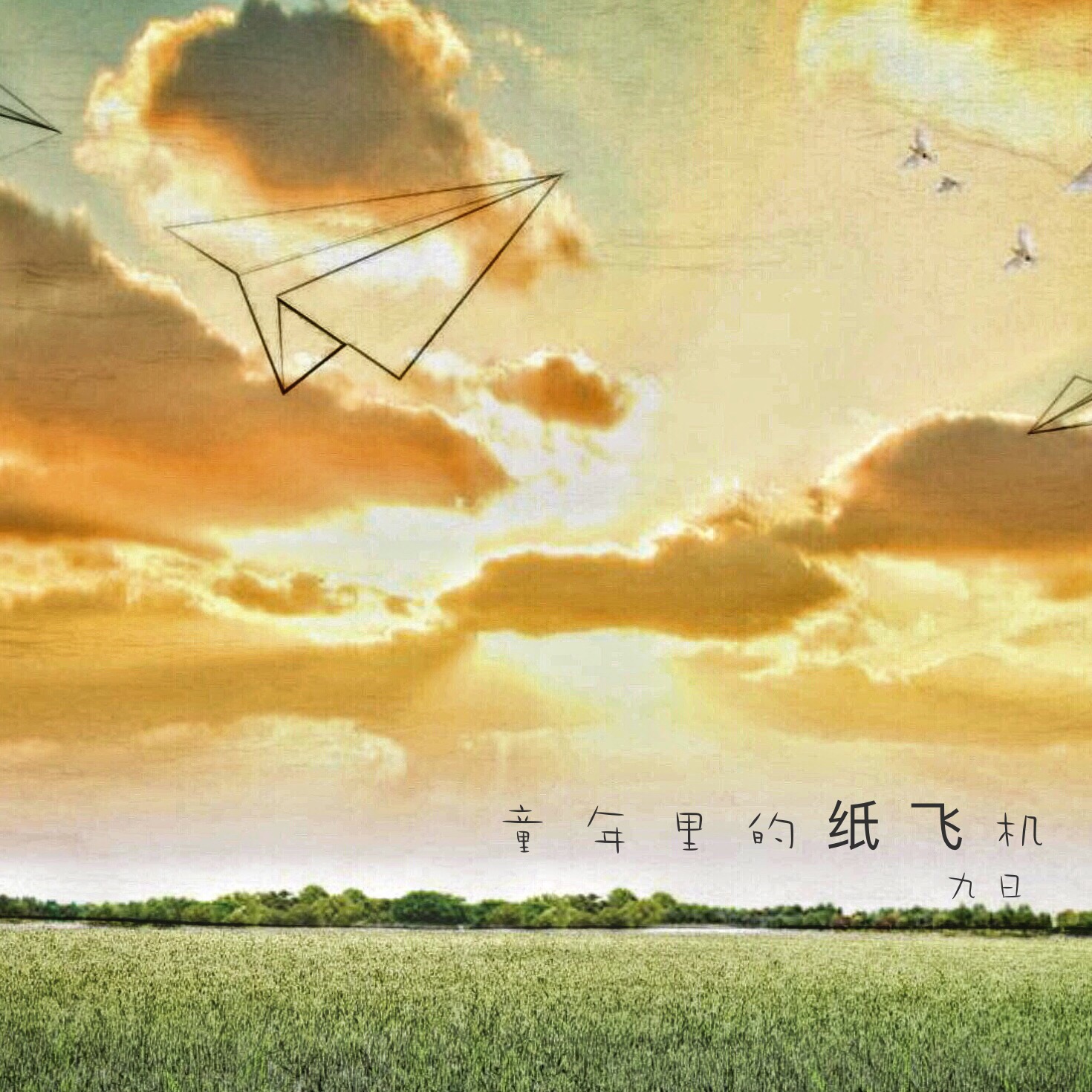 [纸飞机的官网]纸飞机官网app下载