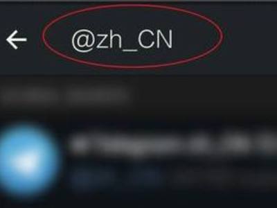 [纸飞机中文版怎么设置汉化]纸飞机中文版怎么设置汉化苹果手机