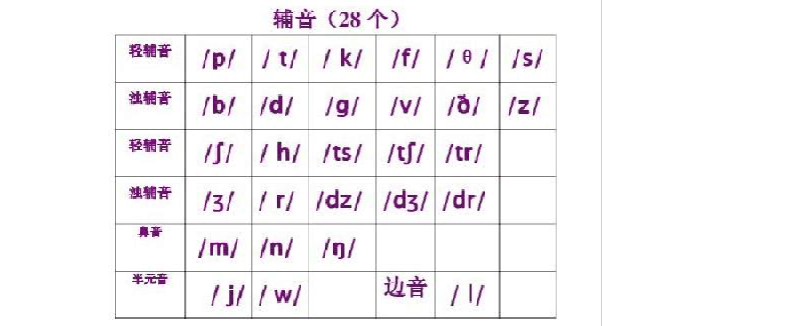 [team读音发音]team读音发音英语