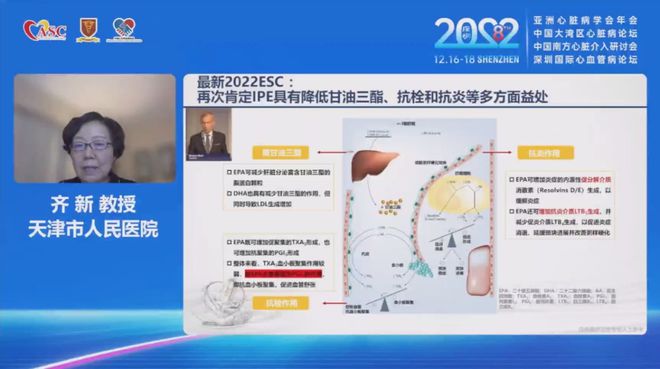 [TG网页版]Tg网站是什么