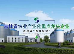 telegreat.org/di的简单介绍