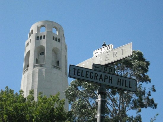 [telegraph加速器]telegraph加速器官网下载