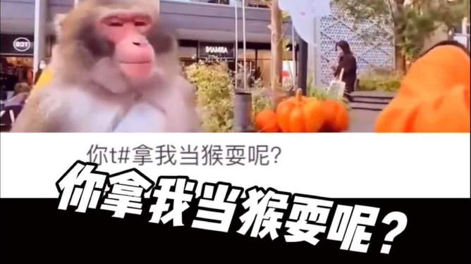 包含电报猴原声无消音mp3的词条