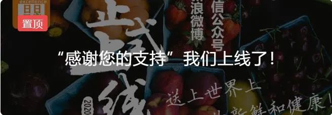 telegeram7.9.3的简单介绍