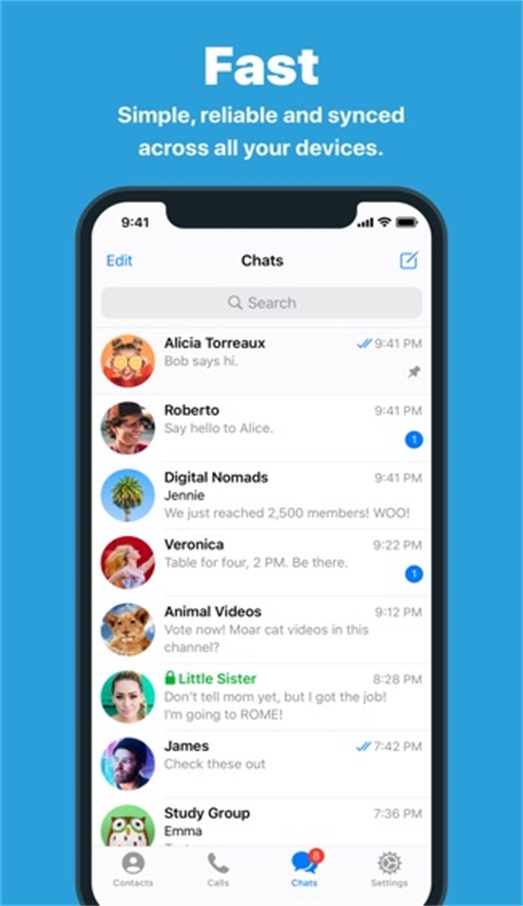 [纸飞机中文版APP]纸飞机中文版苹果手机下载