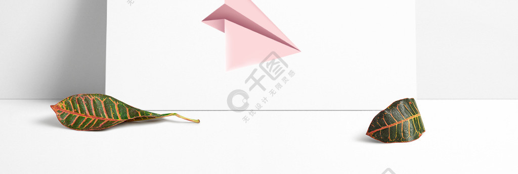 [纸飞机网站中文版]纸飞机网址链接流程