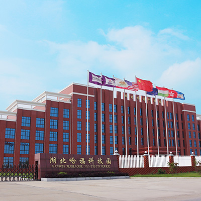 [电脑telegreat怎么转中文]telegreat怎么翻译成中文版