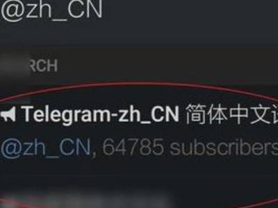 [纸飞机app怎么翻译成中文]纸飞机app怎么弄成中文版的
