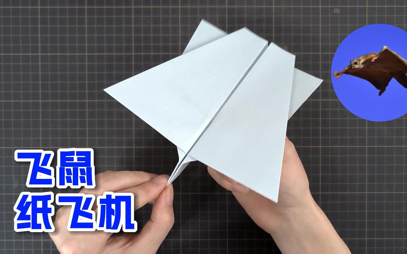 [播放普通纸飞机的教程]简单易学的纸飞机教程视频