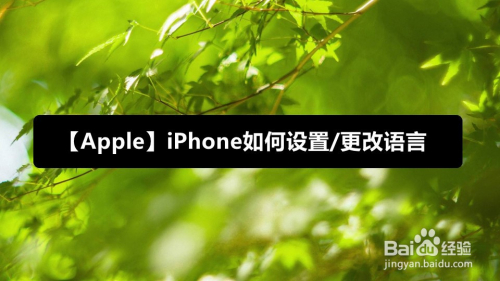 包含苹果版telegreat中文怎么设置的词条