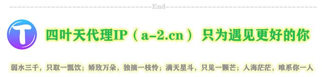 [纸飞机免费代理ip地址]纸飞机代理ip地址2023
