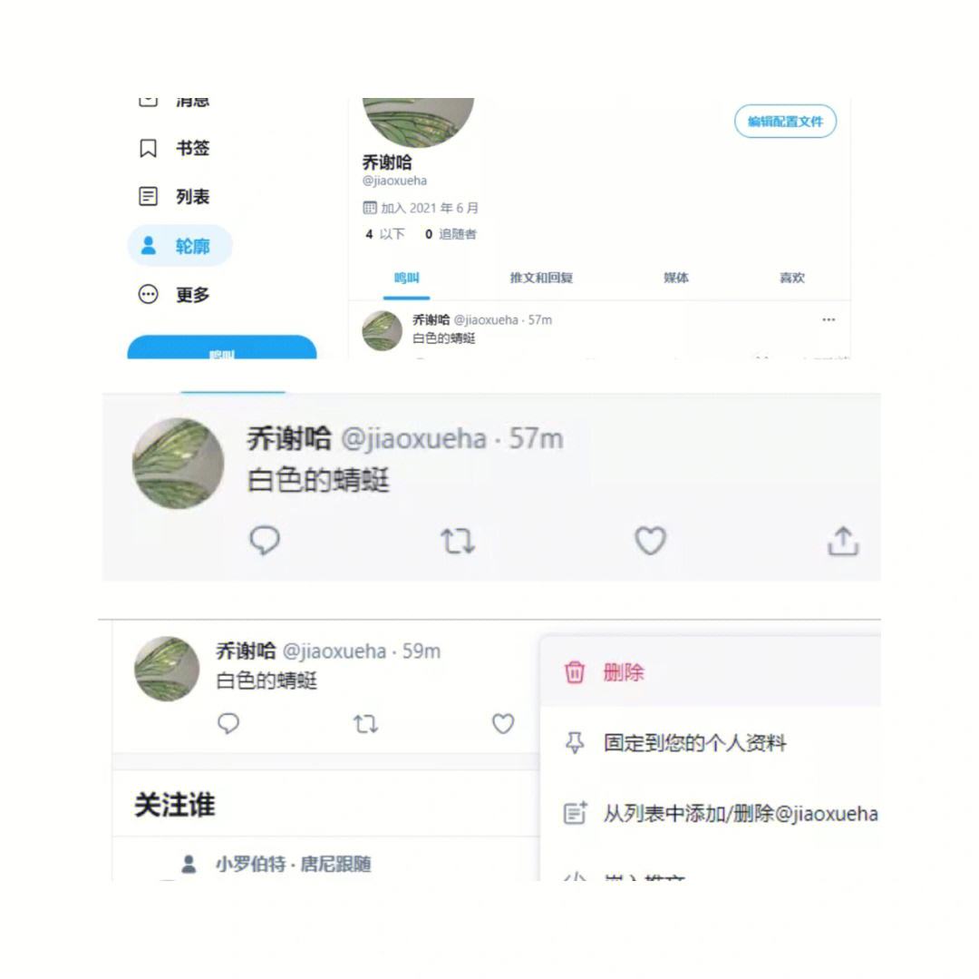 [如何爬墙进入Twitter]如何爬墙进入Twitter知乎