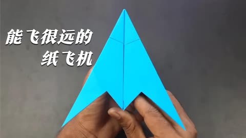 [纸飞机的折法最远最久]纸飞机的折法最远最久1000米世界上飞得最快最帅的飞机